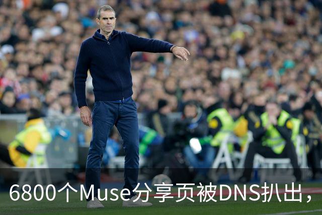 6800个Muse分享页被DNS扒出，Meta紧急暂停